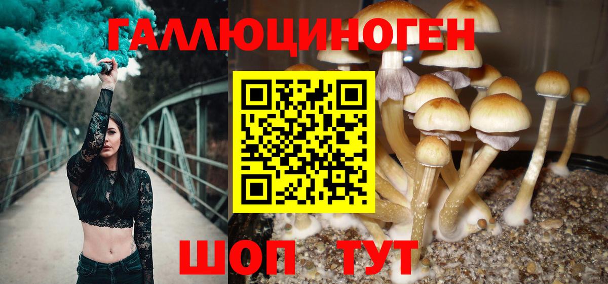 Псилоцибиновые грибы мухоморы  Вход с VPN  Галлюциногенные грибы мухоморы  Озёры 
